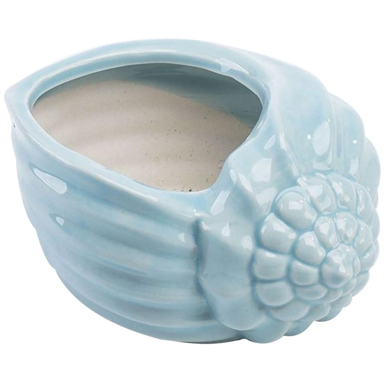 Blue Ceramic Conch Succulent Planter Mediterranean Style Indoor Flower Pot Home Decor - Image 2