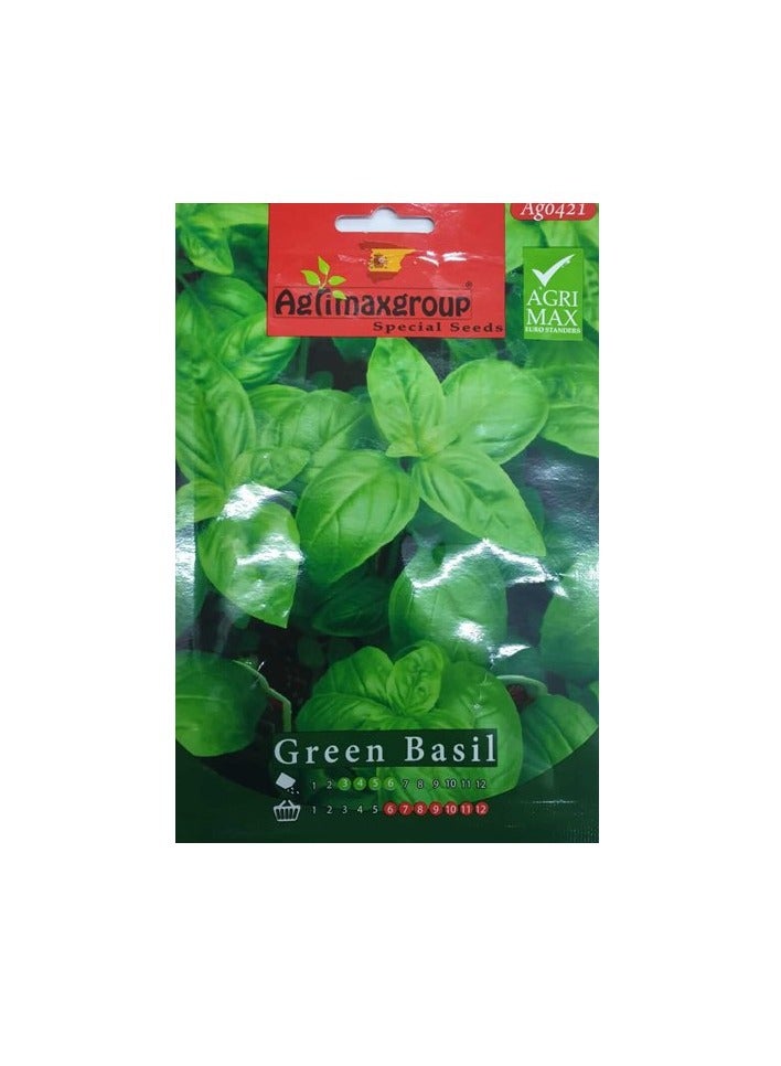 KNP Green Basil Seeds 