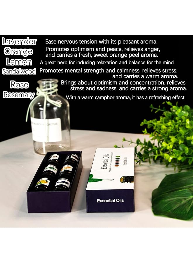 erorex Essential Oils By Pure Aroma 100 Percent Pure Oils Kit Aromatherapy Oils Gift Set 6Pcs X 10 Ml For Home Care Candle Making Fragrance Aromatherapy Humidifiers Gifts - Image 3