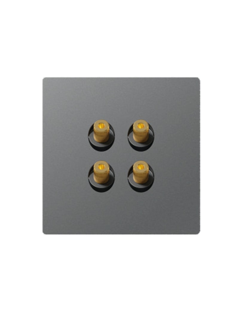 Information socket (double audio socket) 