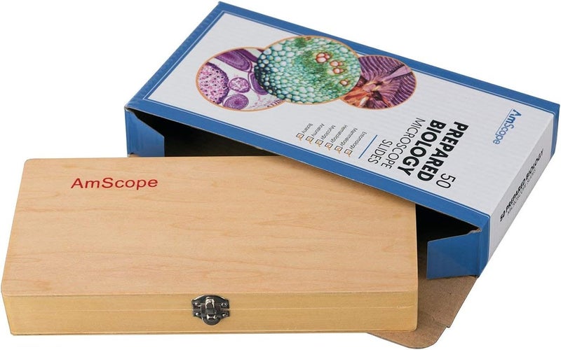 AmScope AmScope PS50 Prepared Microscope Slide Set for Basic Biological Science Education 50 Slides Includes Fitted Wooden Case  - Image 3