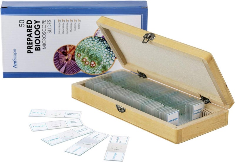 AmScope AmScope PS50 Prepared Microscope Slide Set for Basic Biological Science Education 50 Slides Includes Fitted Wooden Case  - Image 2