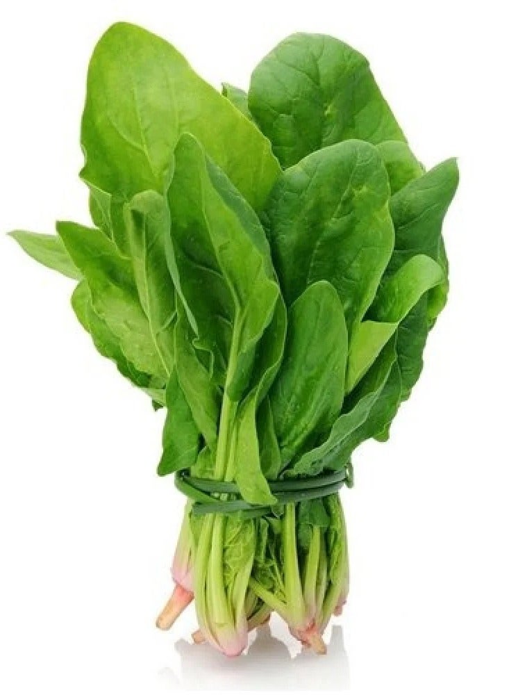 ISMAIL GAZZAZ Watercress Seeds - Image 1