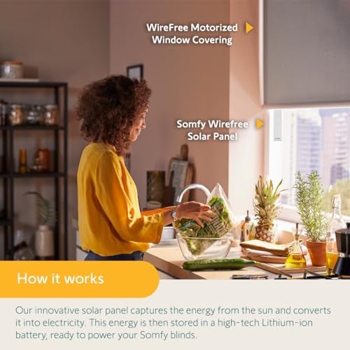 Somfy Wirefree Li-ion Solar Panel Kit 2-Pack - Solar Panel Power for RTS Motorized Shades, Blinds and Curtains - Long Lasting, Easy to Install - Includes Brackets and Glass Mount Adhesive #9027294 - Image 3