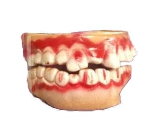 MPS MY PARTY SUPPLIERS MPS My Party Suppliers Halloween Decoration Theme Costume Party Fake Teeth for Halloween Makeup Real Vampire Zombie Teeth with Blood Splattered Bloody Artificial Denture Prop for Halloween  - Image 1