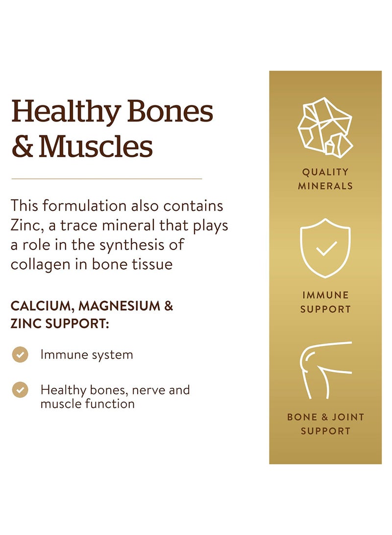 سولجر عبوة كالسيوم وماغنيسيوم وزنك من 100 قرص - Image 3