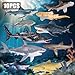 THINKBAY 10PCS 58 Shark Toys for Toddlers 35 57 Sea Ocean Animals Bath Toys for Kids Age 3 4 5 6 7 8 Shark Figurines Cake Toppers Birthday Party Favors Gifts for Kids Ages 3 4 5 6 7 8 - Image 4