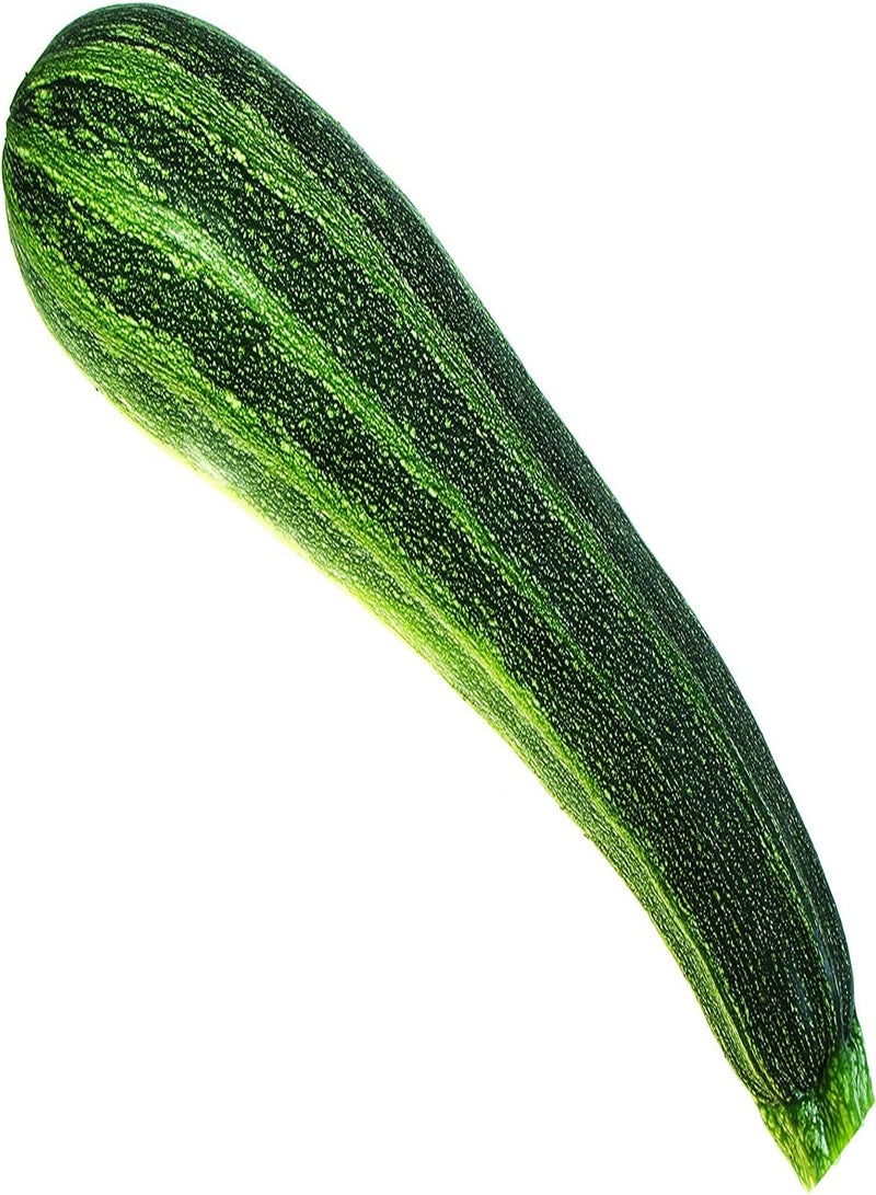 GGOOT 50Stück Zucchini Samen einzigartige Sorte dunkle Streifen ganzjährige Ernte von Gemüse - Image 2