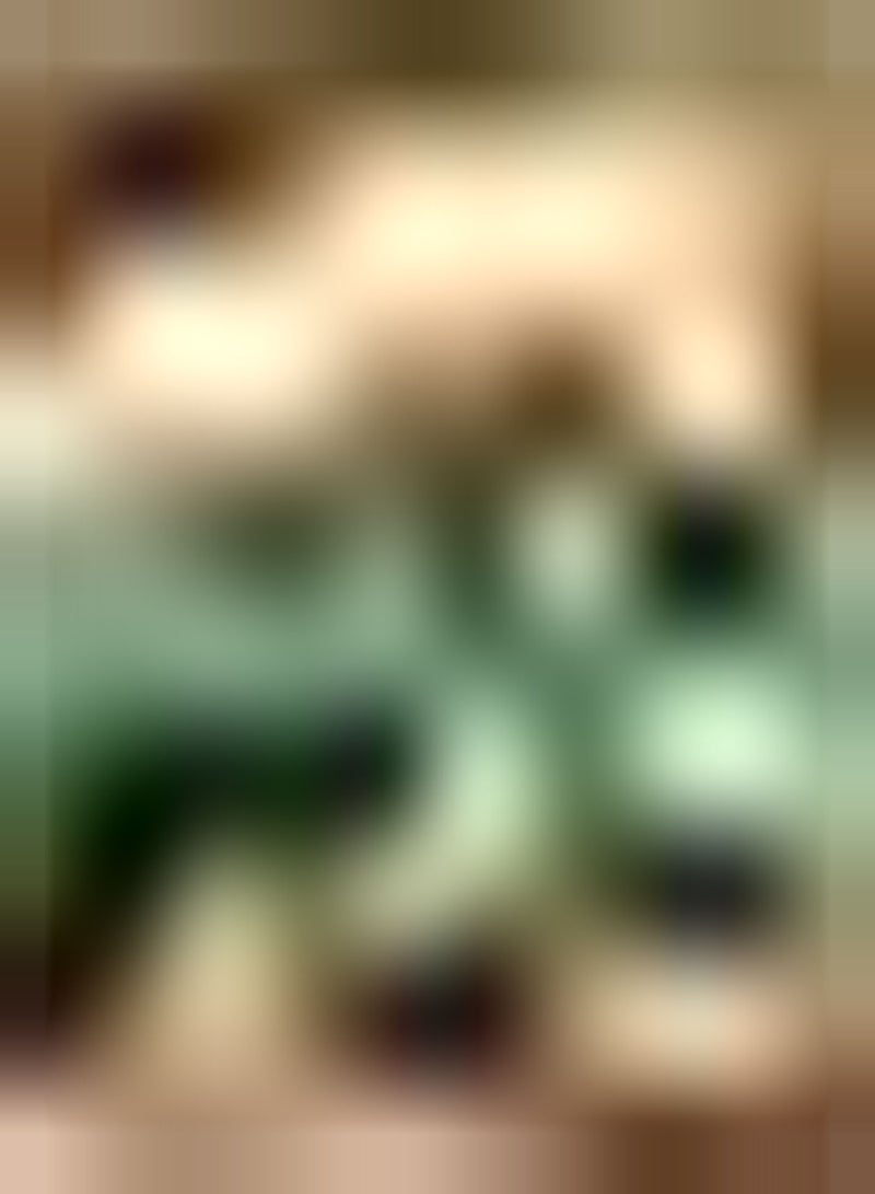 GGOOT 50Stück Zucchini Samen einzigartige Sorte dunkle Streifen ganzjährige Ernte von Gemüse - Image 1