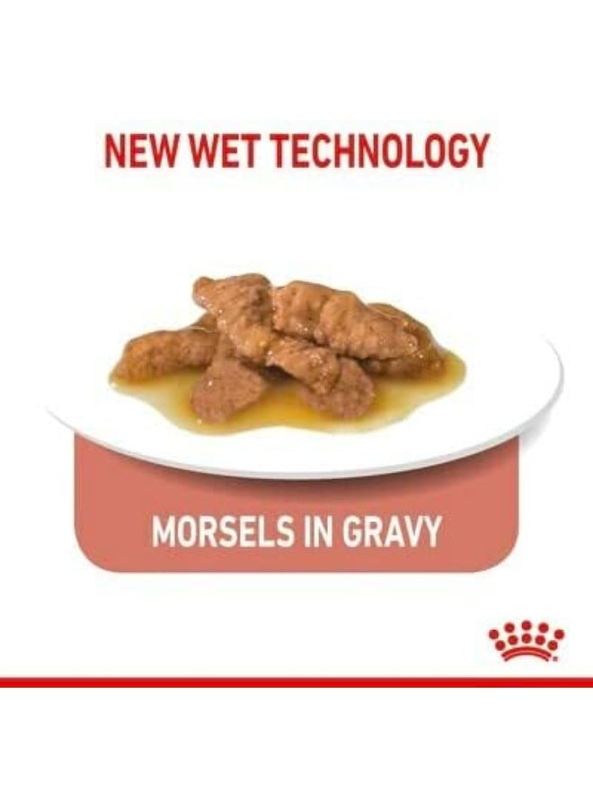 ROYAL CANIN طعام رويال كانين الرطب للقطط المعقمة في صلصة - 85 جرام - Image 3