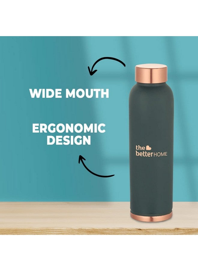 The Better Home زجاجة نحاسية 1 لتر من ذا بيتر هوم للمكتب وفرشاة تنظيف الزجاجات مع هيكل من الفولاذ المقاوم للصدأ ومقبض خشبي غير قابل للانزلاق | فرشاة تنظيف زجاجات بمقبض طويل | زجاجة ماء للأطفال | حزمة كومبو - Image 5