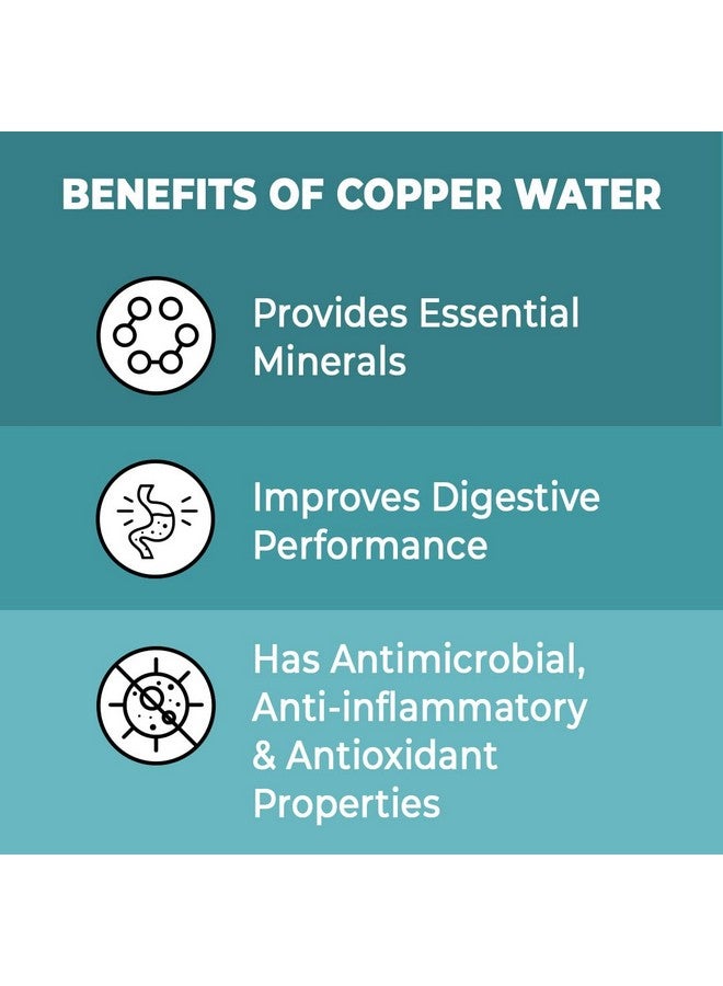 The Better Home زجاجة نحاسية 1 لتر من ذا بيتر هوم للمكتب وفرشاة تنظيف الزجاجات مع هيكل من الفولاذ المقاوم للصدأ ومقبض خشبي غير قابل للانزلاق | فرشاة تنظيف زجاجات بمقبض طويل | زجاجة ماء للأطفال | حزمة كومبو - Image 4