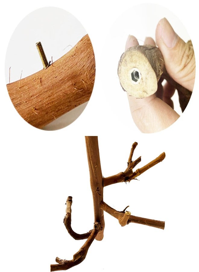 Allazone مجثم ببغاء طبيعي من ألازون، حامل طيور، غصن عنب بري، غصن لطحن الكفوف، أغصان تسلق الببغاء، لعبة قابلة للمضغ، ملحقات قفص للطيور الصغيرة مثل طيور الحب والببغاوات الصغيرة والكوكاتيل - Image 4