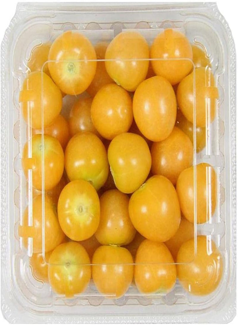 جي جوت 20 قطعة من بذور فيزاليس بيروفيانا، ثمار صفراء صغيرة مستديرة مزروعة في فناء خارجي، رائحة حلوة محبوبة من قبل جميع البستانيين العائليين - Image 3