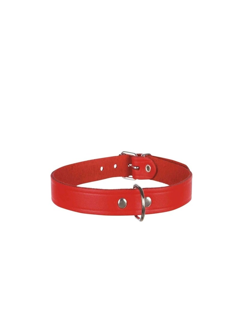 Trixie Basic Red Leather Collar For Dogs - Image 1