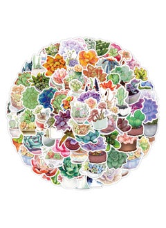 Succulents