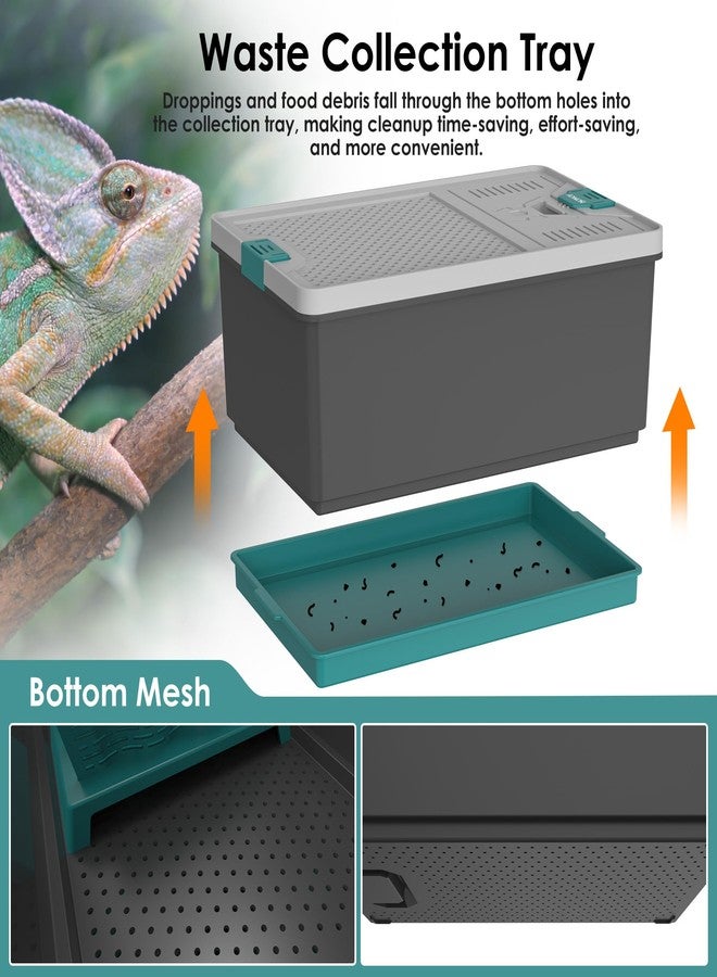 NOMOY Self-Cleaning Reptile Feeder Insect Habitat with Escape-Proof Lid, Removable Climbing Frame, Water Sponge & Bug Spoon - Cricket/Roach Enclosure, Easy-Clean, Ventilated for Lizards, Frogs & Pets - Image 5
