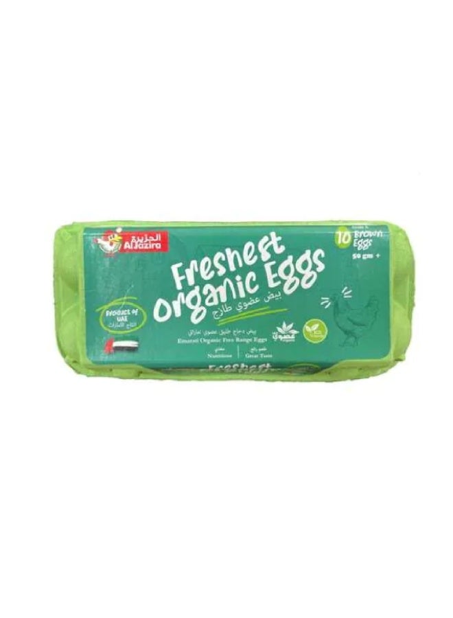 Eggs, Free Range , Brown - 10 eggs , UAE