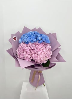 Berry Bliss Hydrangeas