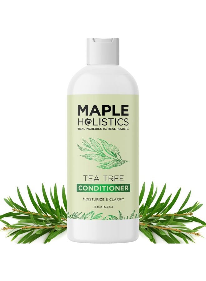 Maple Holistics Tea Tree Conditioner for Dry Hair - Tea Tree Oil Conditioner for Oily Hair and Sulfate Free Conditioner for Dry Hair - Cleansing Conditioner and Tea Tree Dry Scalp Care with Tea Tree Oil for Hair - Image 1