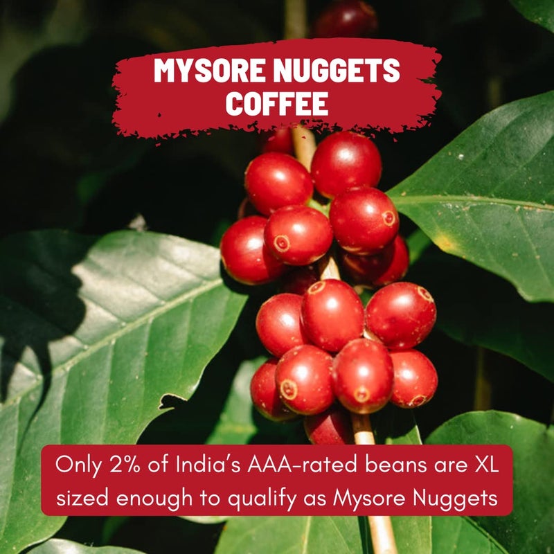 Toffee Coffee Roasters | Mysore Nuggets Coffee| Arabica Freshly Dark Roast| Size: 250 gm | Grind: Whole Beans | Grounded Coffee Notes: Nutty, Chocolaty and Slight Smokiness - Image 2