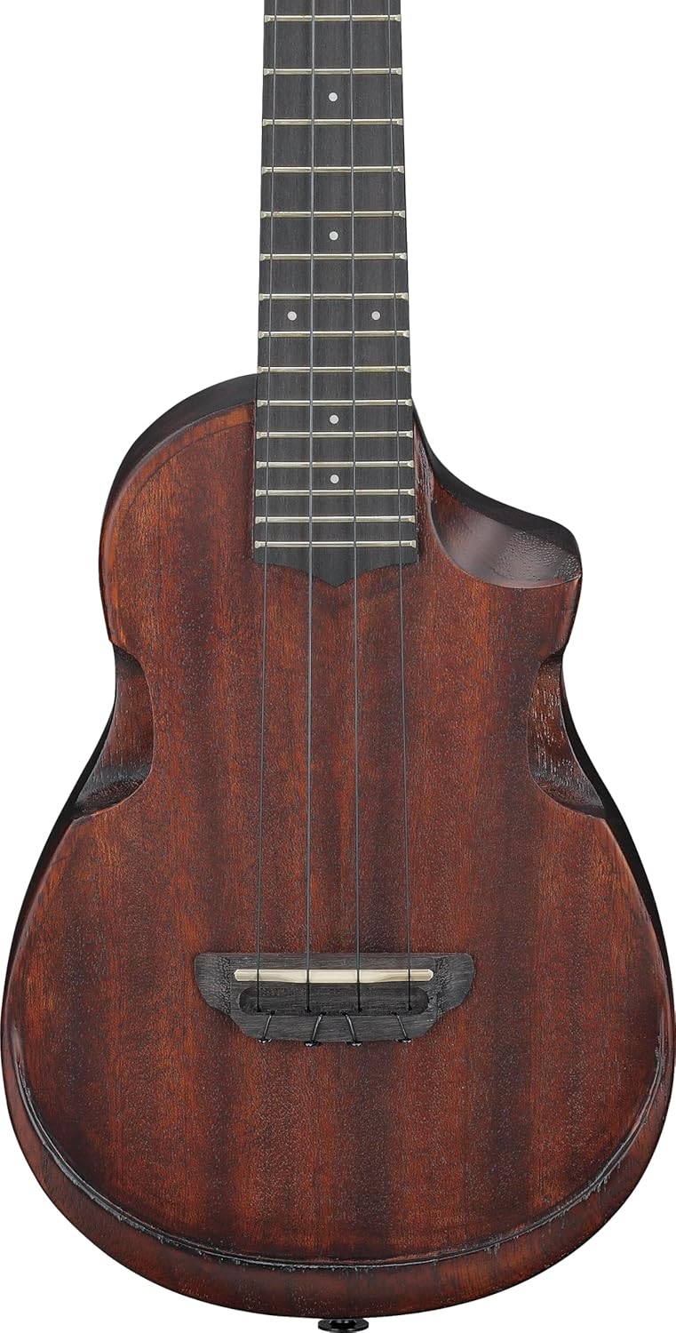 Ibanez Concert Ukulele - Open Pore Natural Sunburst - Image 5