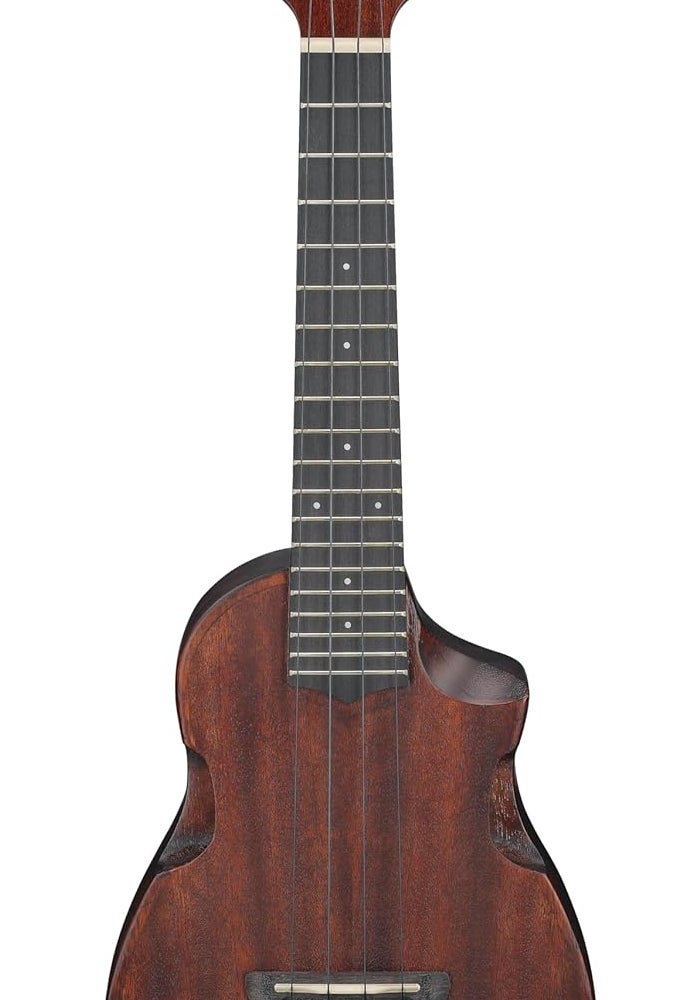 Ibanez Concert Ukulele - Open Pore Natural Sunburst - Image 1