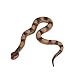 Lohoee Realistic Fake Snakes Toy Lifelike Soft Rubber Garden Snake Scare Birds and Squirrels Tricky Model Snake Toys for Gift Party Favors or Halloween Decoration Props - Image 2