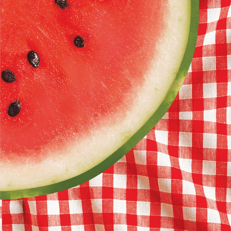 Creative Converting 18 Count Lunch Napkins, Watermelon Check - Image 5