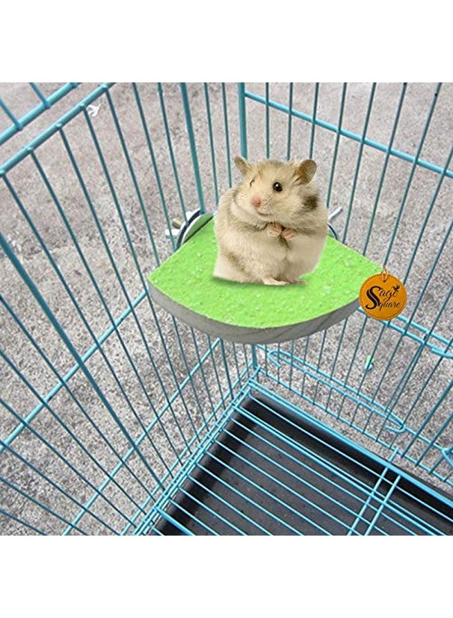 سايج سكوير منصة رملية من الخشب الطبيعي لتقليم أظافر وأسنان الهامستر، والسنجاب الطائر، والقنفذ، والجربوع، والجرذان، والفئران (4 بوصات) - Image 1