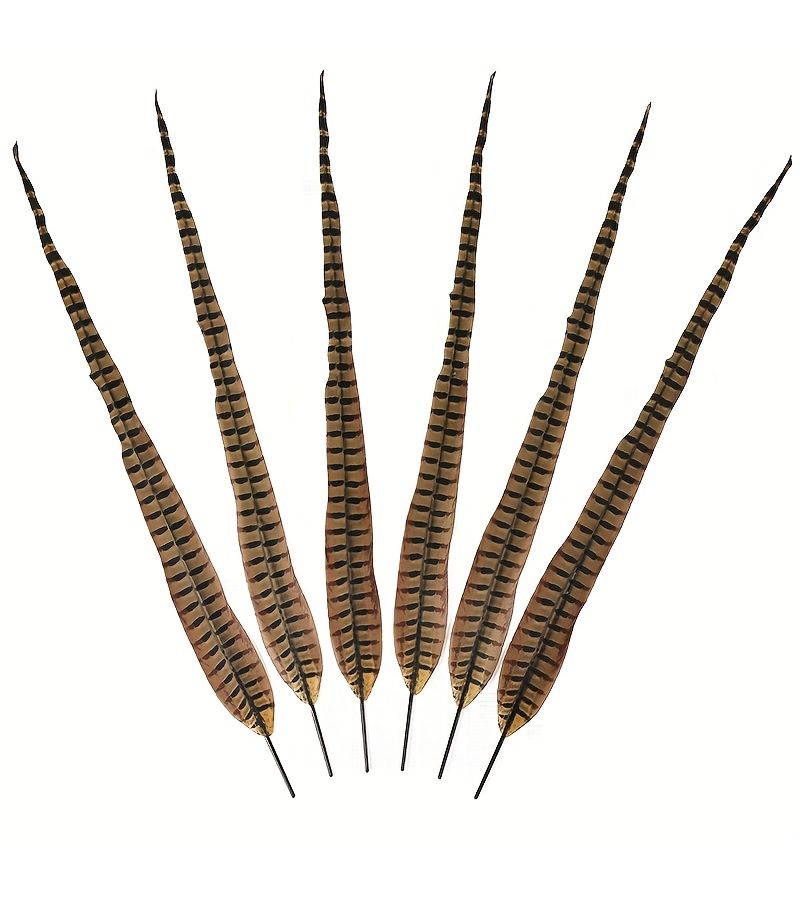6 Pieces 25.5-27.5 Inch 65-70cm Gradient Color Simulation Feathers for Craft Decoration Carnival Accessories - Image 2