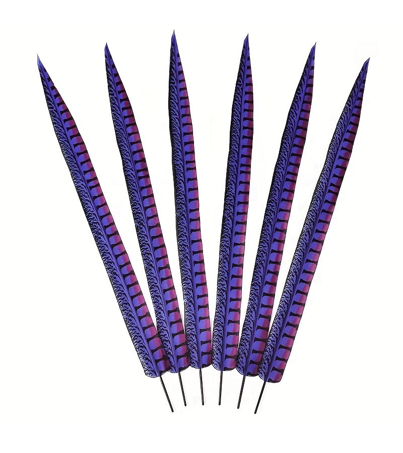 6 Pieces 25.5-27.5 Inch 65-70cm Gradient Color Simulation Feathers for Craft Decoration Carnival Accessories - Image 4