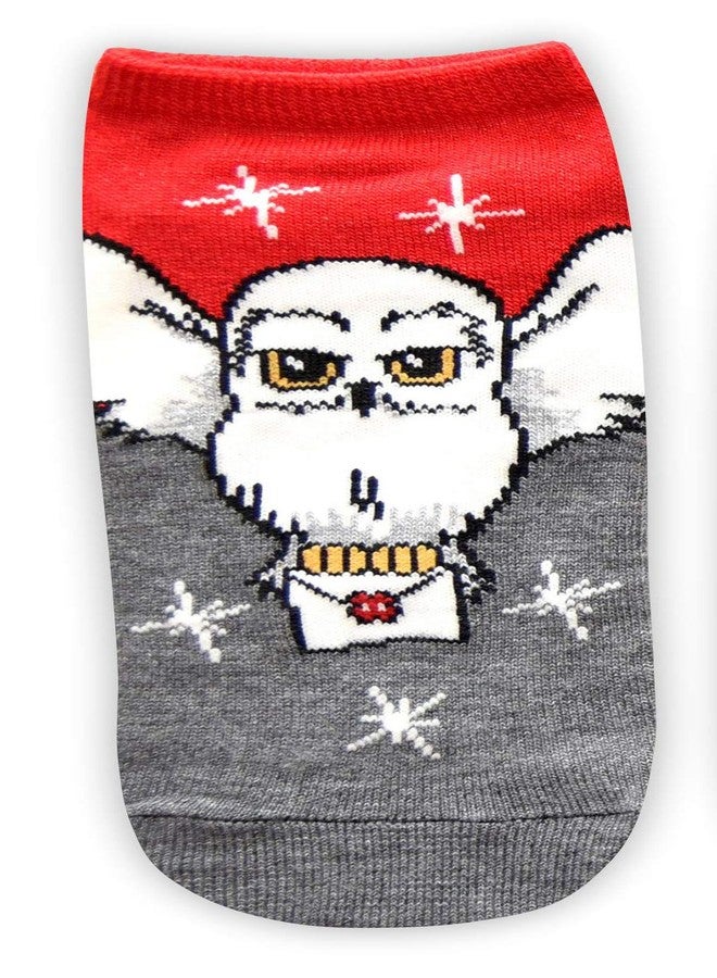 هاري بوتر، خريطة هيدويج مارودرز، رصيف 9، جوارب قصيرة للكاحل، عبوة من 5 قطع، للأطفال/النساء - Image 2