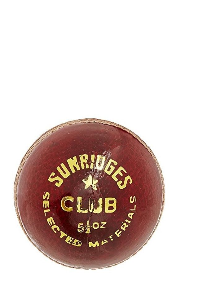 SS Club Leather Cricket Ball Red Pack of 6 - Image 3