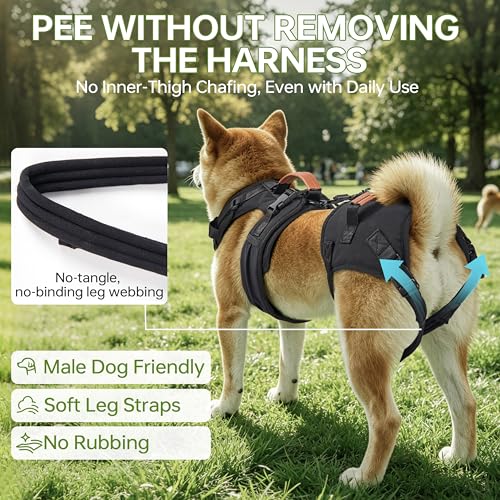 Moysoon Dog Lift Harness for Male Dogs - 2-in-1 Full Body Support Aid & Sling, Comfortable & Chafe-Free for Post-Surgery Recovery and Elderly Dog Mobility, Hind Leg Assistance, Supports up to 55 Lbs (L) - Image 5