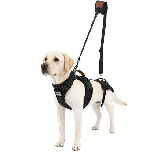Moysoon Dog Lift Harness for Male Dogs - 2-in-1 Full Body Support Aid & Sling, Comfortable & Chafe-Free for Post-Surgery Recovery and Elderly Dog Mobility, Hind Leg Assistance, Supports up to 55 Lbs (L) - Image 1