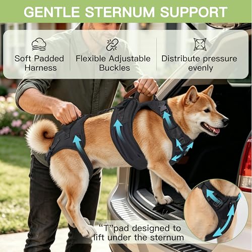 Moysoon Dog Lift Harness for Male Dogs - 2-in-1 Full Body Support Aid & Sling, Comfortable & Chafe-Free for Post-Surgery Recovery and Elderly Dog Mobility, Hind Leg Assistance, Supports up to 55 Lbs (L) - Image 2