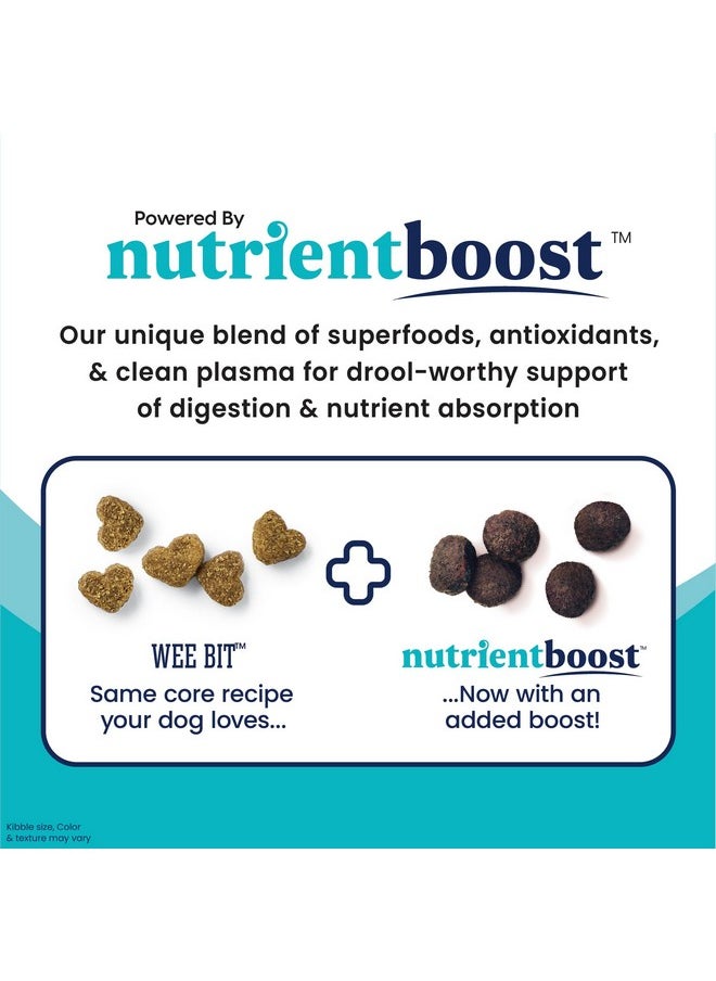 solid gold - Small Breed Dog Food  Nutrientboost Wee Bit Whole Grain Made W/Real Bison, Brown Rice, & Pearled Barley  High Fiber, Probiotic Dry Dog Food For Dogs With Sensitive Stomachs  3.75 Lb - Image 1