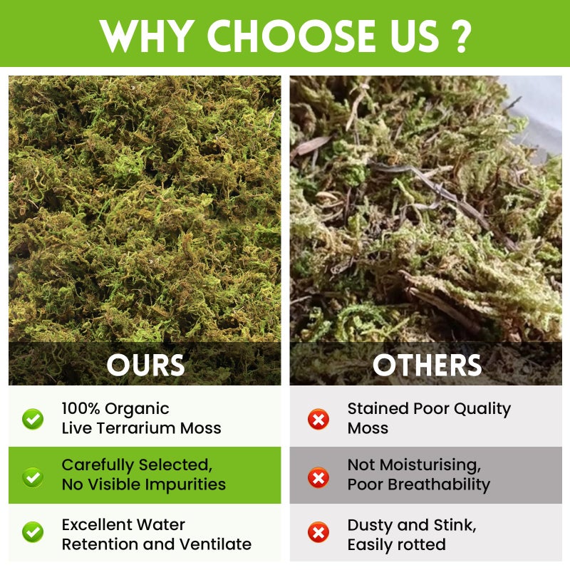 Riare 3.5 OZ Premium Sphagnum Moss for Reptiles- 4QT Natural Live Moss Reptile Moss Bedding for Terrarium, Hatching, Forest Sphagnum Moss Reptile Substrate for Snakes, Gecko, Turtles, Frogs, Leopard - Image 5