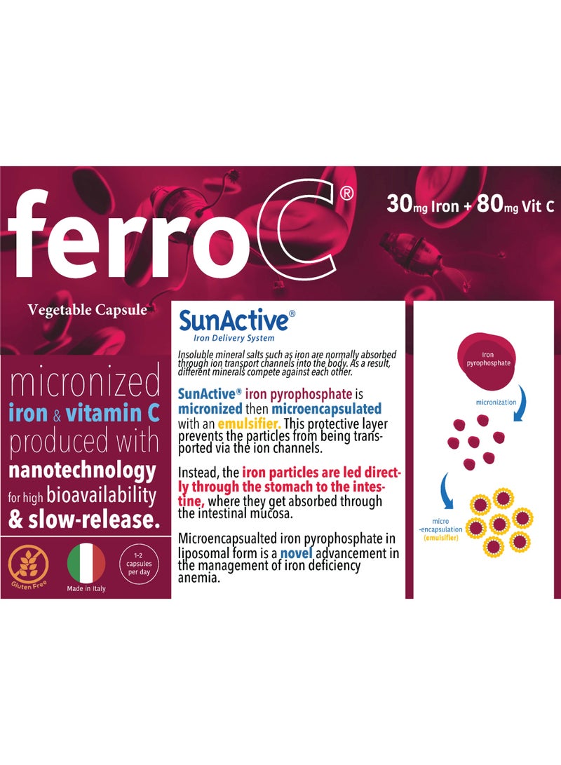 FERRO C – Micronized Iron + Vitamin C. Advanced Technology for Better Absorption and Daily Iron Support - Image 2