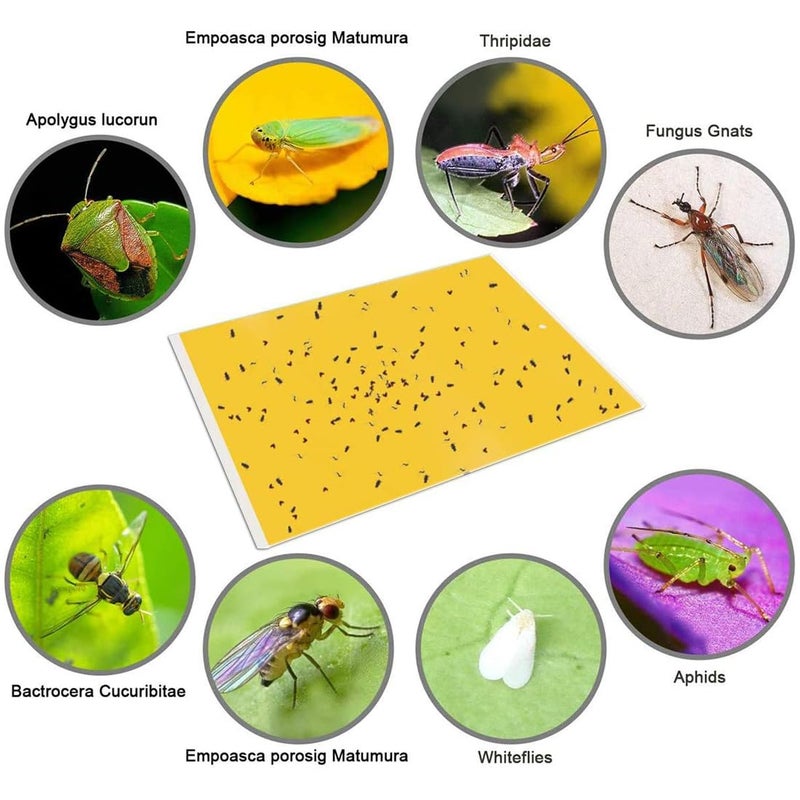 Gideal 20-Pack Dual-Sided Yellow Sticky Traps for Flying Plant Insect Such as Fungus Gnats, Whiteflies, Aphids, Leafminers,Thrips - (6x8 Inches, Included 20pcs Twist Ties) - Image 3