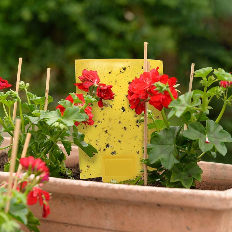 Gideal 20-Pack Dual-Sided Yellow Sticky Traps for Flying Plant Insect Such as Fungus Gnats, Whiteflies, Aphids, Leafminers,Thrips - (6x8 Inches, Included 20pcs Twist Ties) - Image 4
