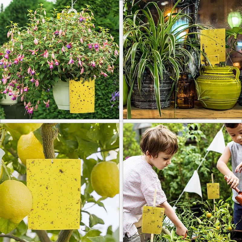 Gideal 20-Pack Dual-Sided Yellow Sticky Traps for Flying Plant Insect Such as Fungus Gnats, Whiteflies, Aphids, Leafminers,Thrips - (6x8 Inches, Included 20pcs Twist Ties) - Image 5