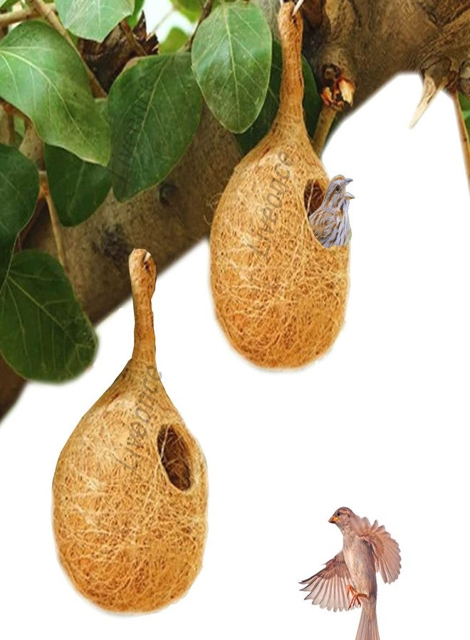 LIVEONCE Coir NEST for Birds Color -Natural Size H-25 CM,W -15 CM,Pack of 2 - Image 1