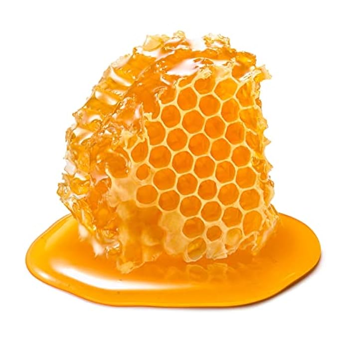 Earth To Skin Honey Manuka Mini Duo Set Day Gel Cream (0.5 Fl Oz) and Night Cream (0.5 Fl Oz) with Hyaluronic Acid & Vitamin E, All-Day & Night Hydration for Face and Neck (2 Pack) - Image 4