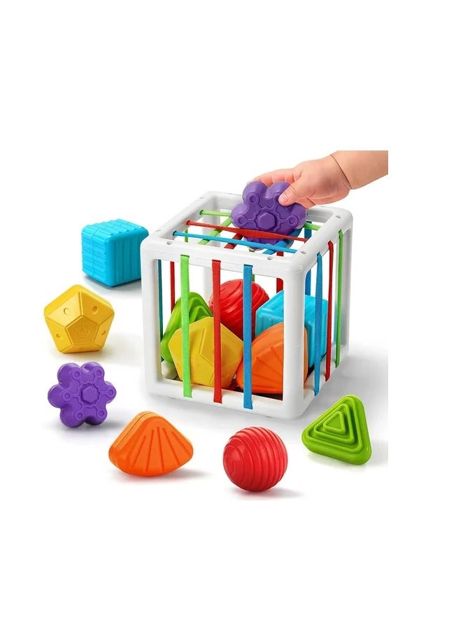 Special offers on Montessori toys for children, sensory toys, shape sorters, blocks for children, colored and decorated balls, sorting toys (blocks and shapes (6 pieces)) 12 m+ 