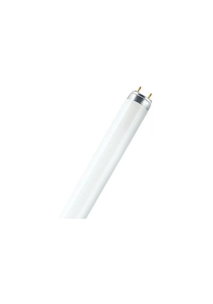 LEDVANCE Osram Fluorescent Tube Light Basic Plus T8 18W Warm White - Image 2