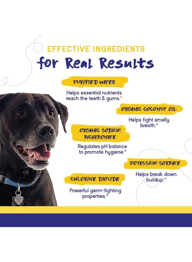 PupGrade Dental Care Water Additive Solution - Advanced Oral Care for Dogs - Dental Rinse for Fresh Breath to Fight Against Bad Breath, Plaque, and Tartar - Image 4