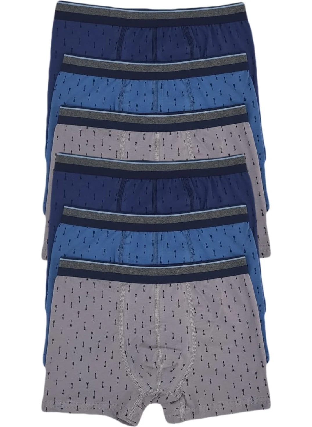 Onurel 6-Pack Patterned Garsoy Boy Boxer