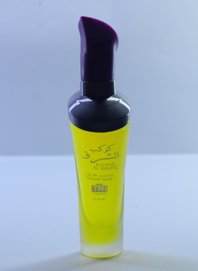 تي أر آي كوكب الشرق 100 ما EDT - Image 2